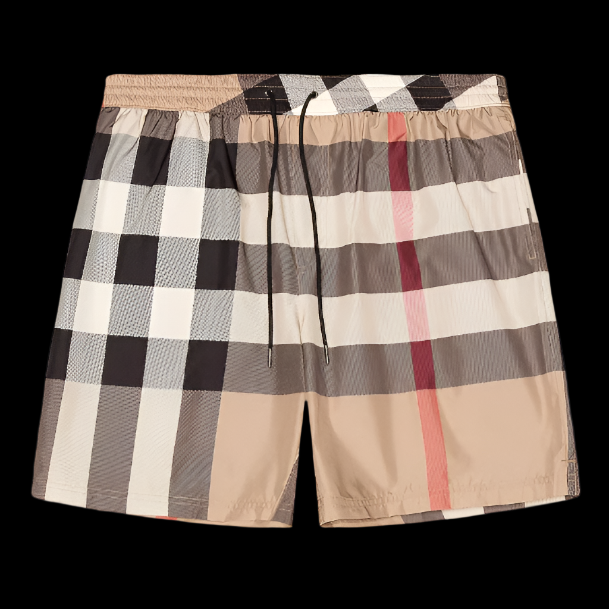 Burberry Swim Shorts